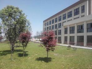 贵州金沙中学爆料新闻